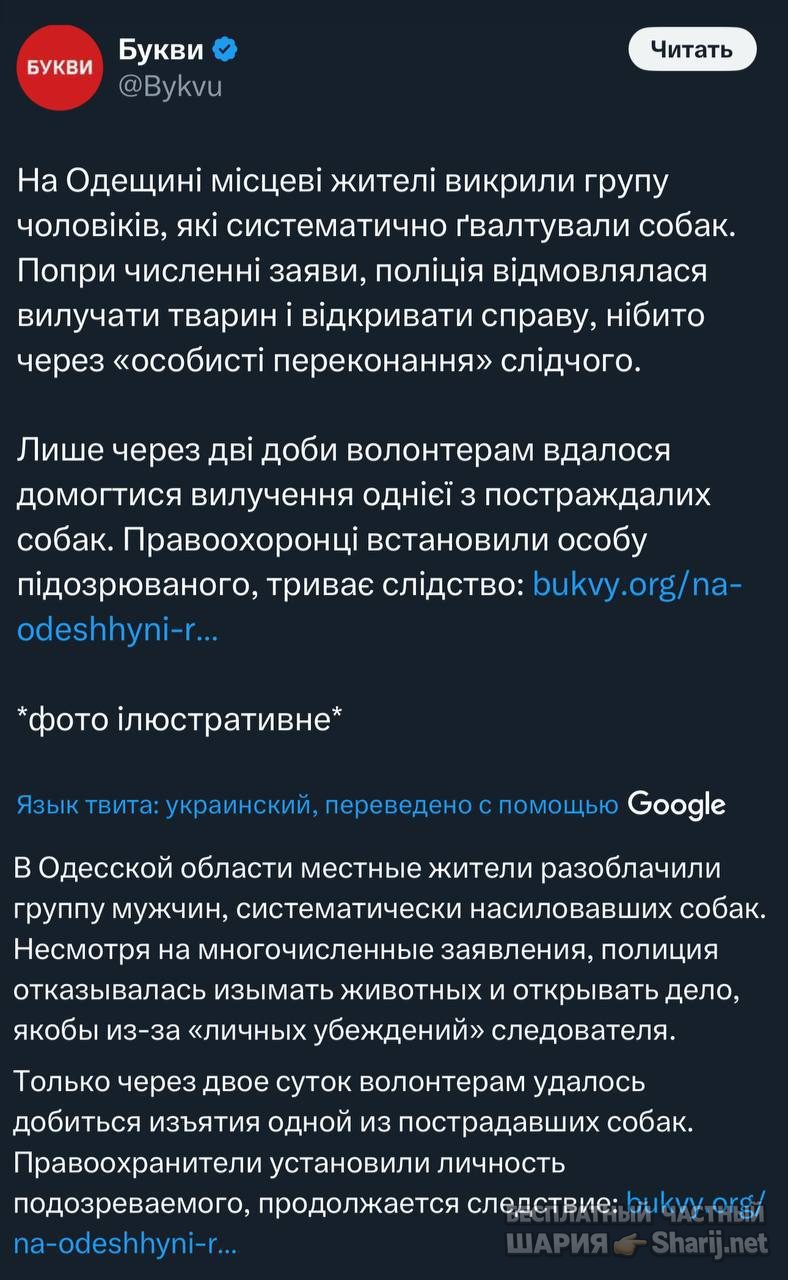 Труха Барселона — фото из публикации