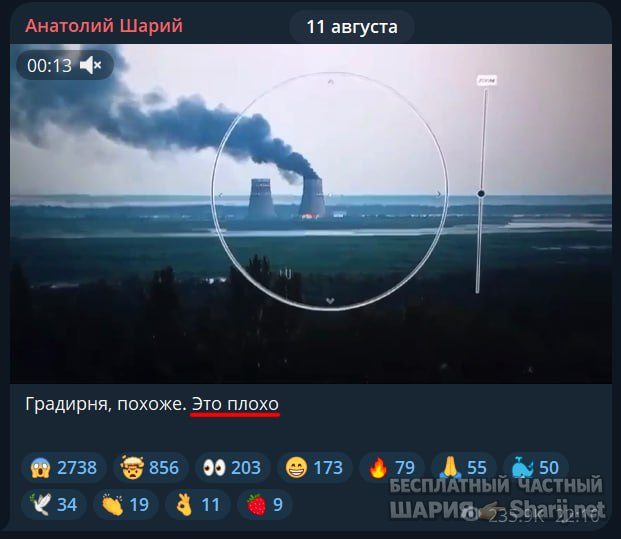 Труха Барселона — фото из публикации