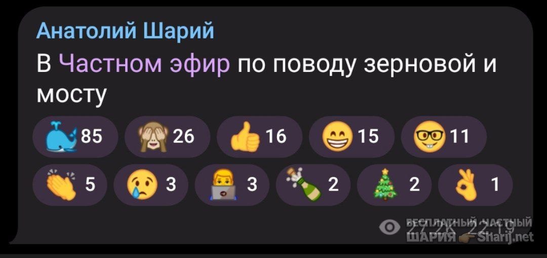 Труха Барселона — фото из публикации