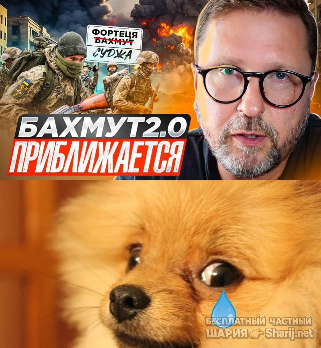 Труха Барселона — фото из публикации