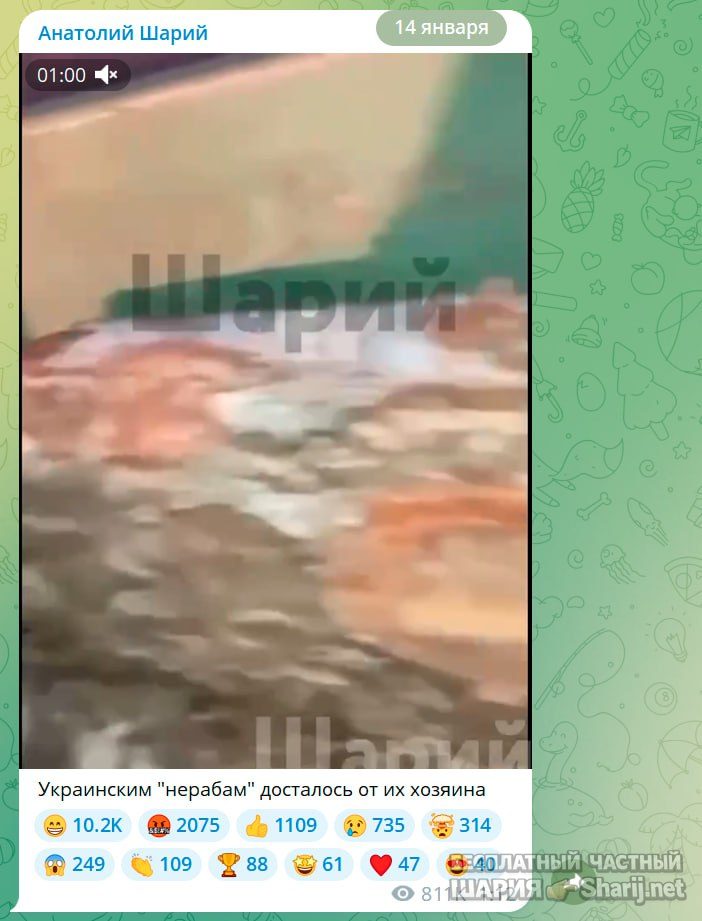 Труха Барселона — фото из публикации