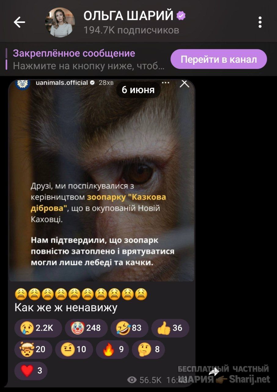 Труха Барселона — фото из публикации