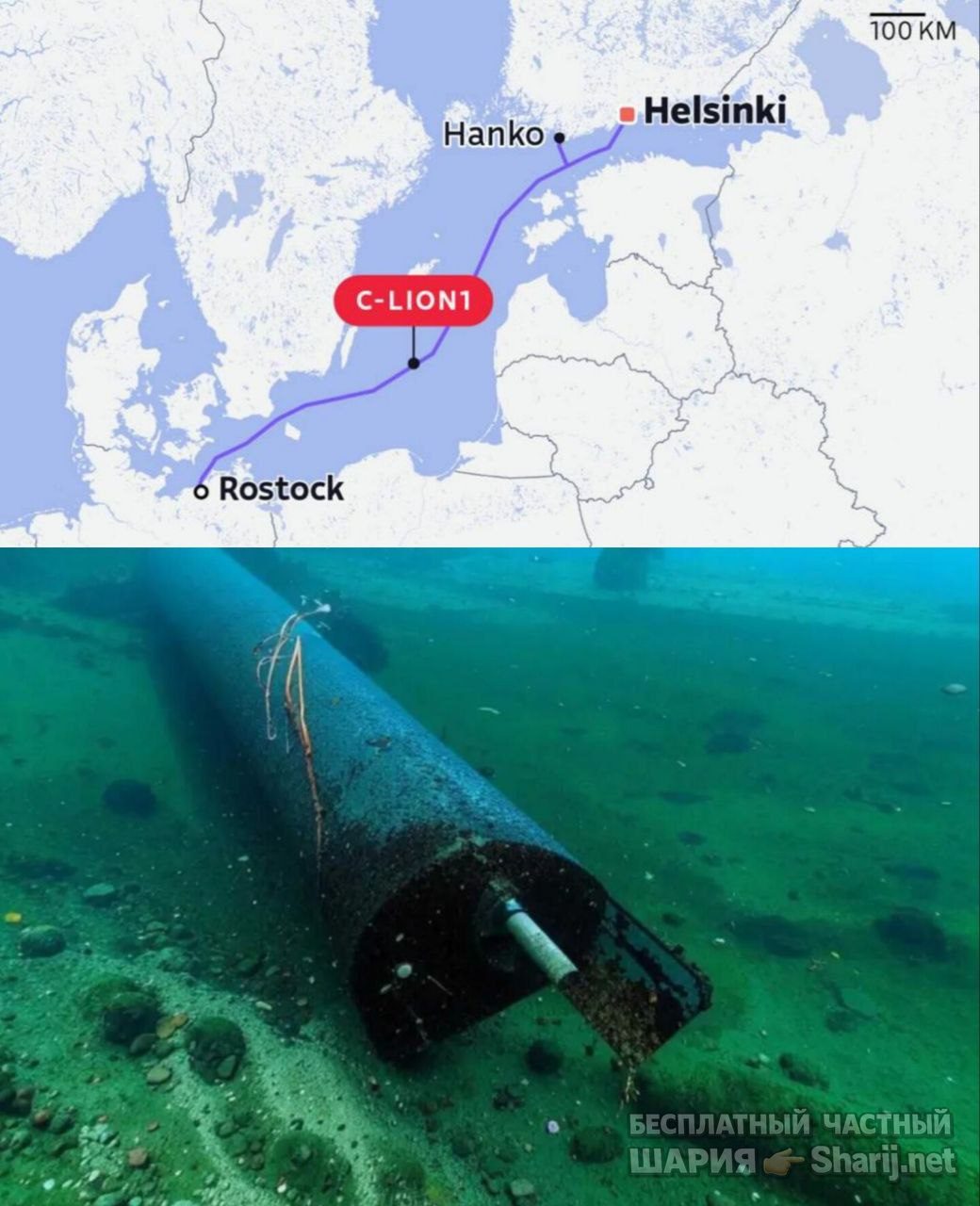 Труха Барселона — фото из публикации